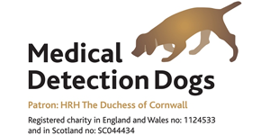 Image for the Medical Detection Dogs charity showing a dog following a scent