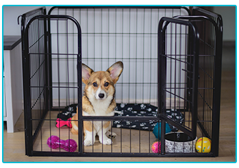 Crate training your puppy