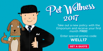 pet wellness 2017 promo
