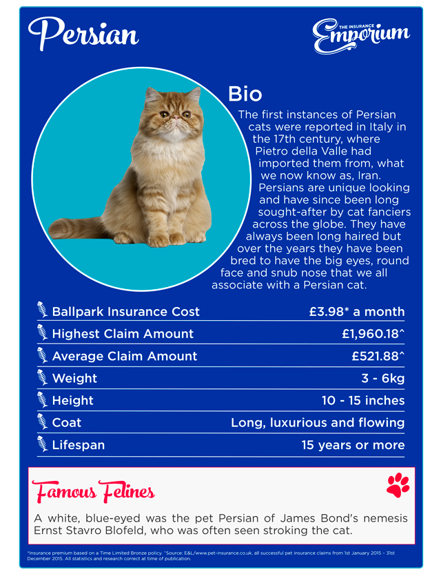 Cat Insurance