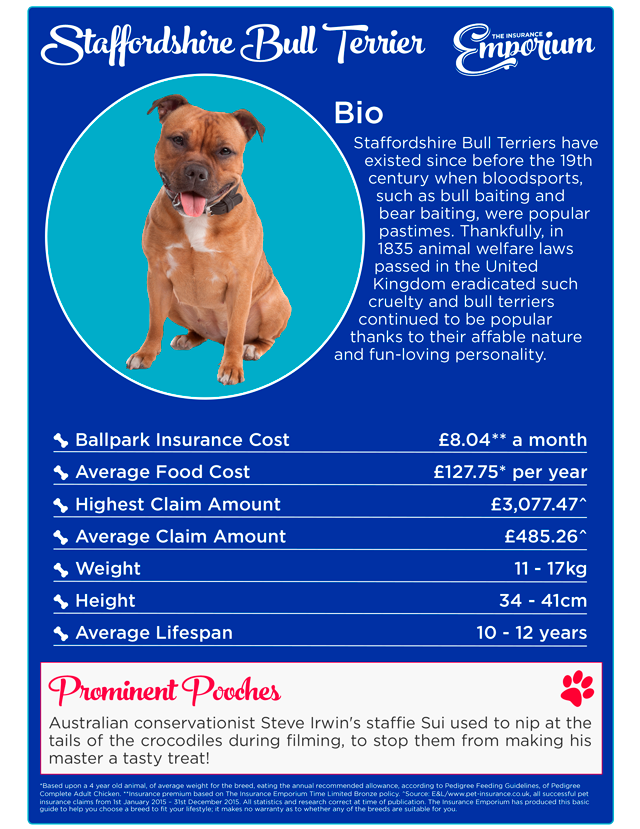 Dog Insurance