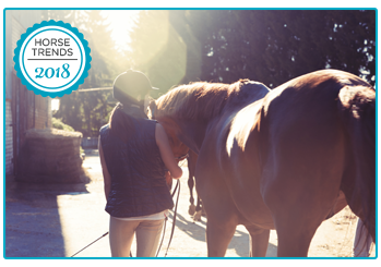 Horse Insurance