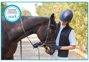 Horse Insurance