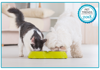 Pet Insurance