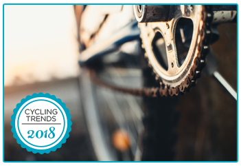 Bicycle Insurance