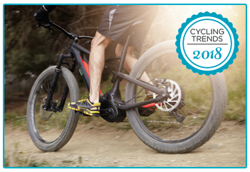 Bicycle Insurance