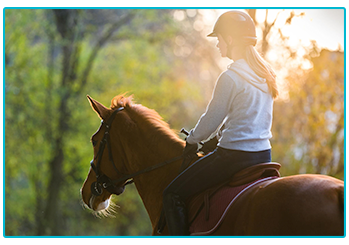 Horse Insurance