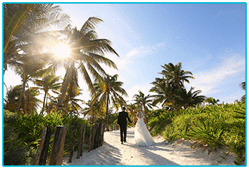 Wedding Insurance