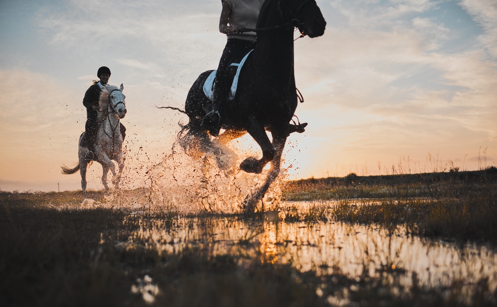 Enjoy the process of learning to ride a horse.