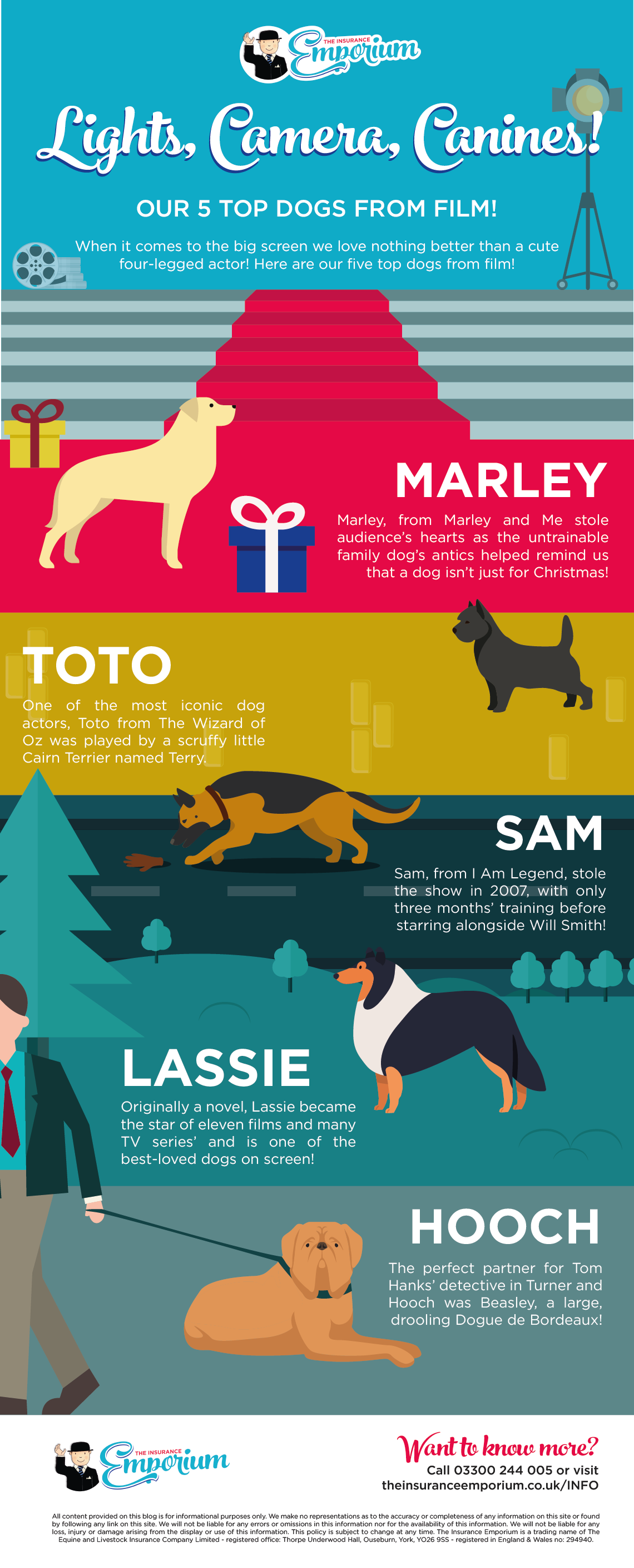 Lights, Camera, Canines! Our 5 Top Dogs from Film!

Infographic of famous dogs from film.