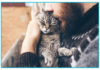 Cat Insurance