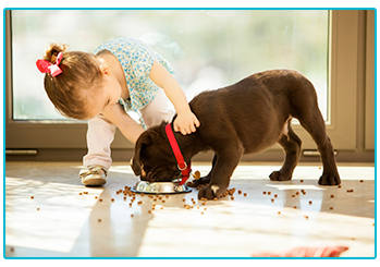 How to keep your child and dog safe together