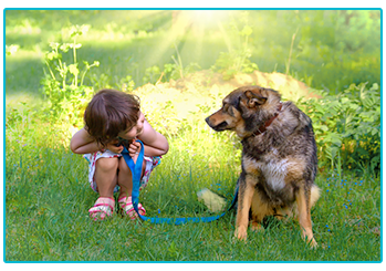 How to keep your child and dog safe together