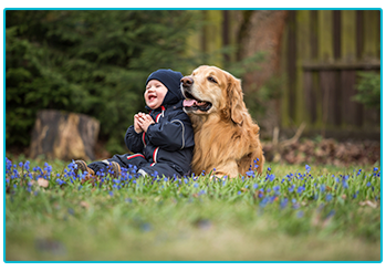 How to keep your child and dog safe together