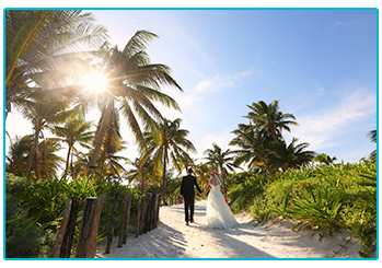 How to plan your wedding abroad on a budget - couple walking off along palm tree-lined path