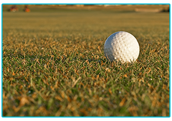 Gold trends 2020 - gold ball on the green