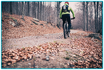 Winter cycling - cycling through fallen leaves