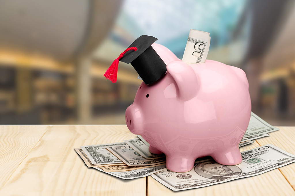 a pink piggy bank with a black mortar board hat on its head and bank notes sticking out of its back