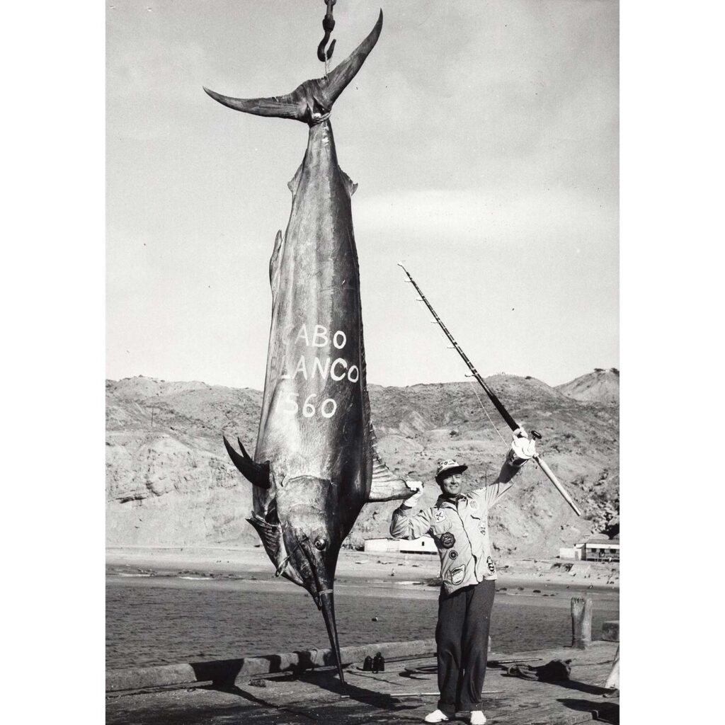 biggest sword fish ever caught