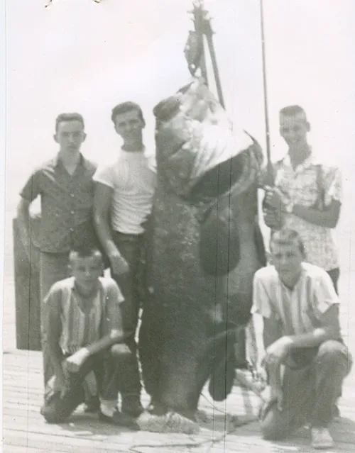 biggest grouper fish ever caught