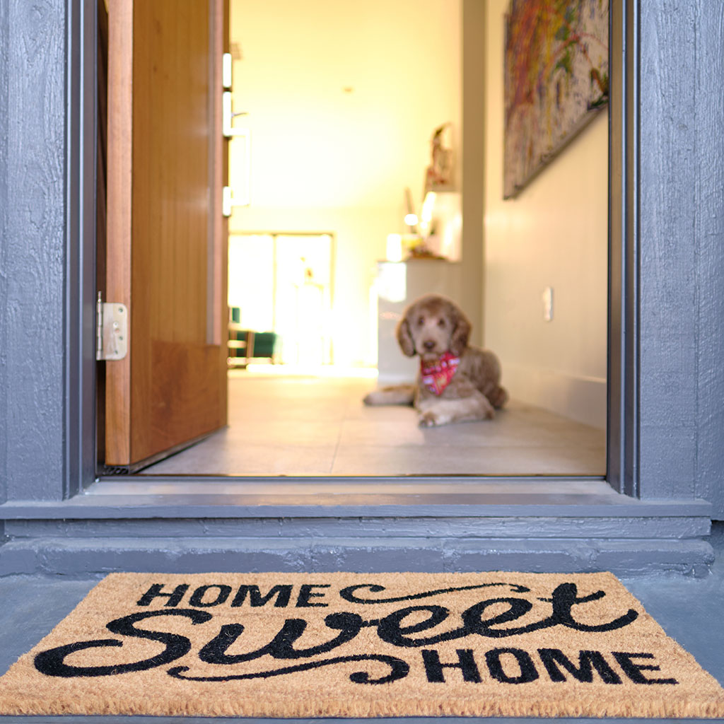 Welcome door mat with a pet dog laying in the door way