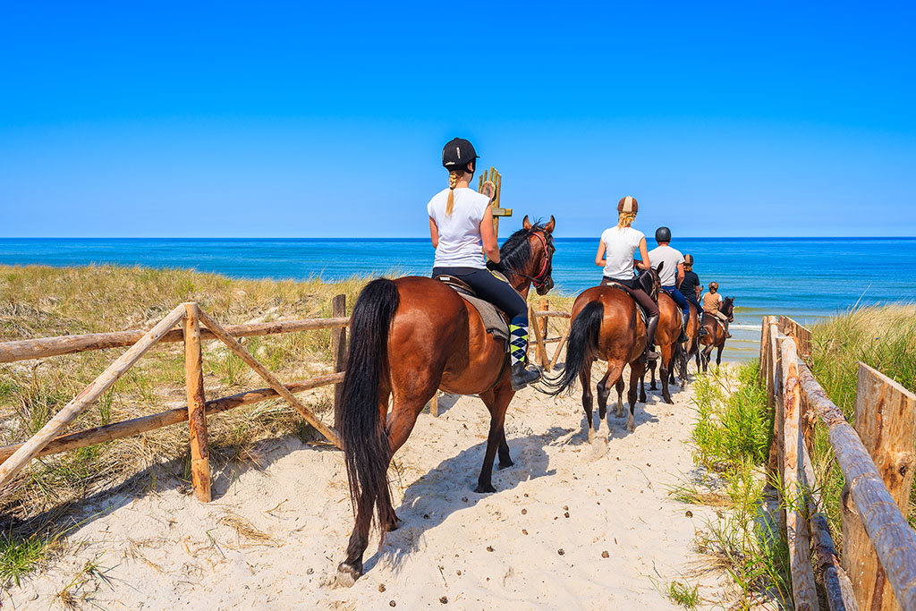 Group of teenagers riding horses on the beach