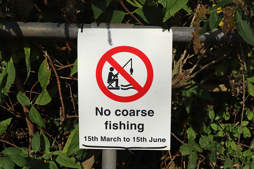 metal sign fixed to a metal post by the edge of a river, warning that course fishing is not allowed between March and June