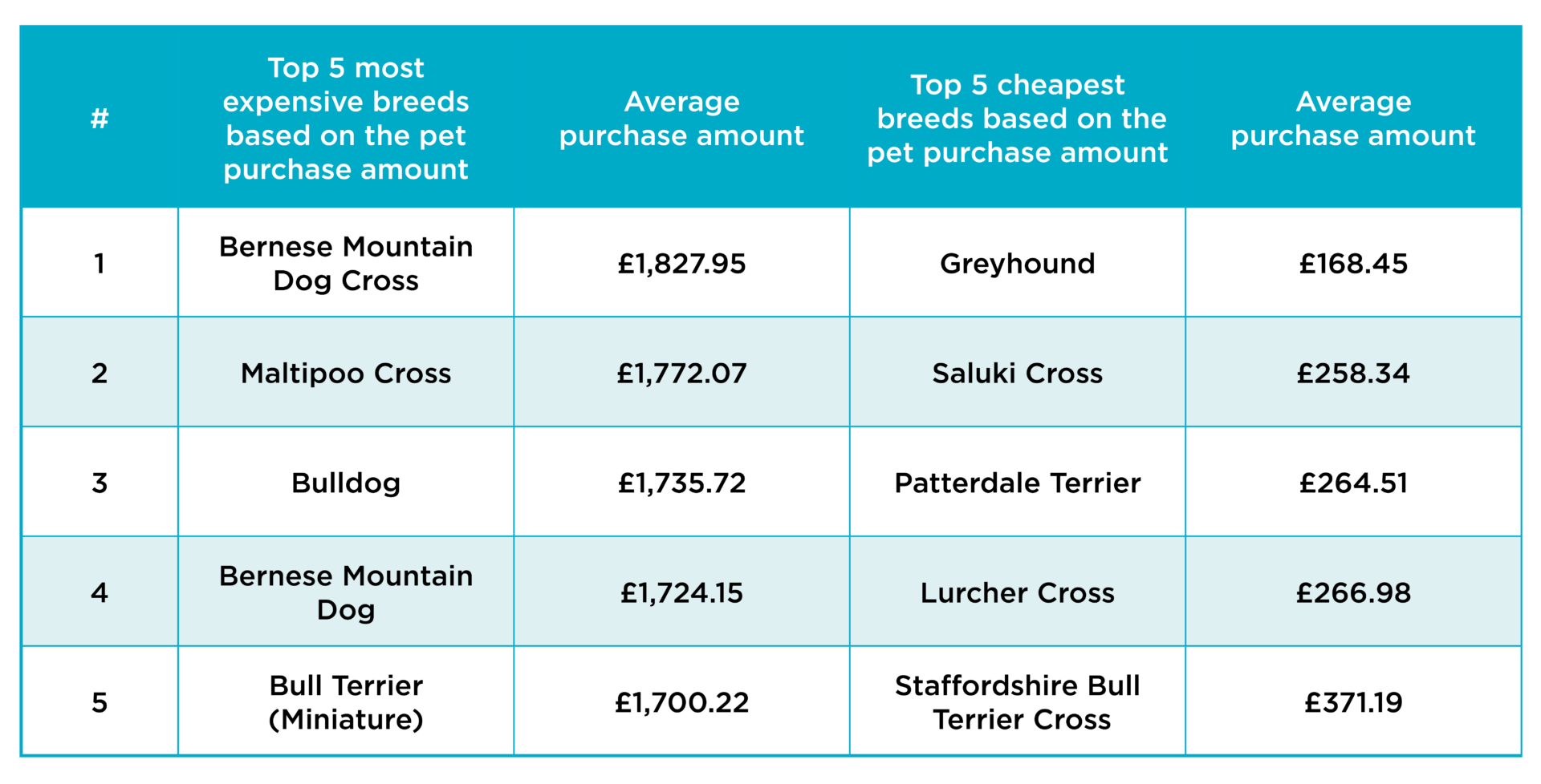 Cheapest Dog Breeds To Insure Uk