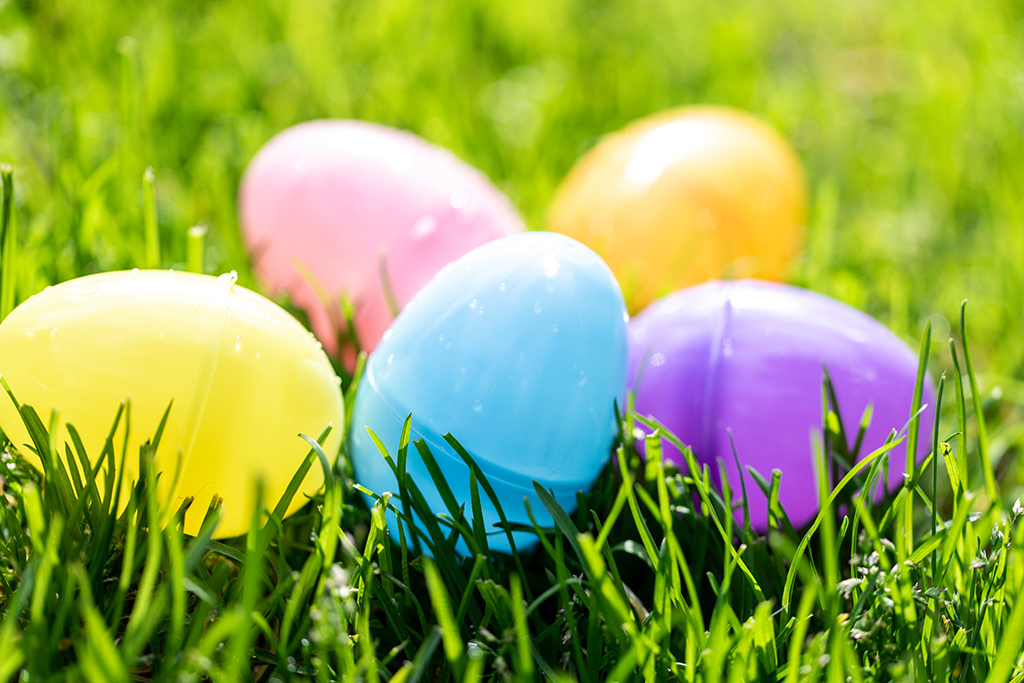 Plastic easter eggs of multiple colors in grass for a hunt or search on the holiday