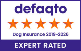 Dog Insurance Five Star Defaqto Award