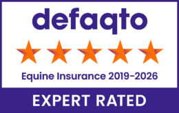 Equine Insurance Five Star Defaqto Award