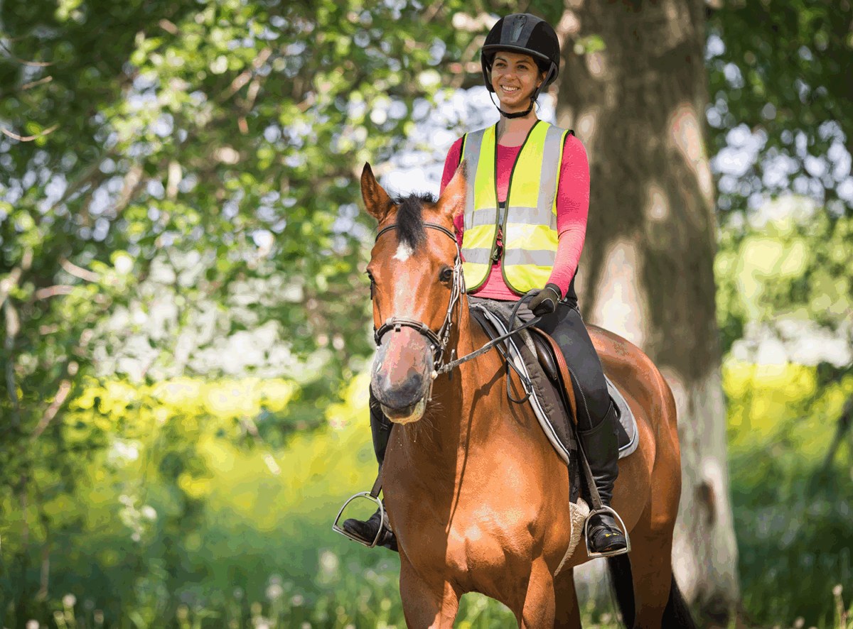 Safety Riding Human Horse Riding Road Safety and The Highway Code