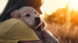 When can puppies go outside?