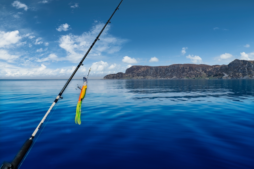 Fishing Rod Front West Cape Norwegian.
