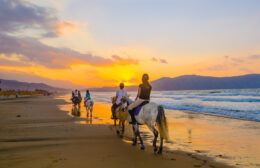 Group Girls On Horseback Riding.