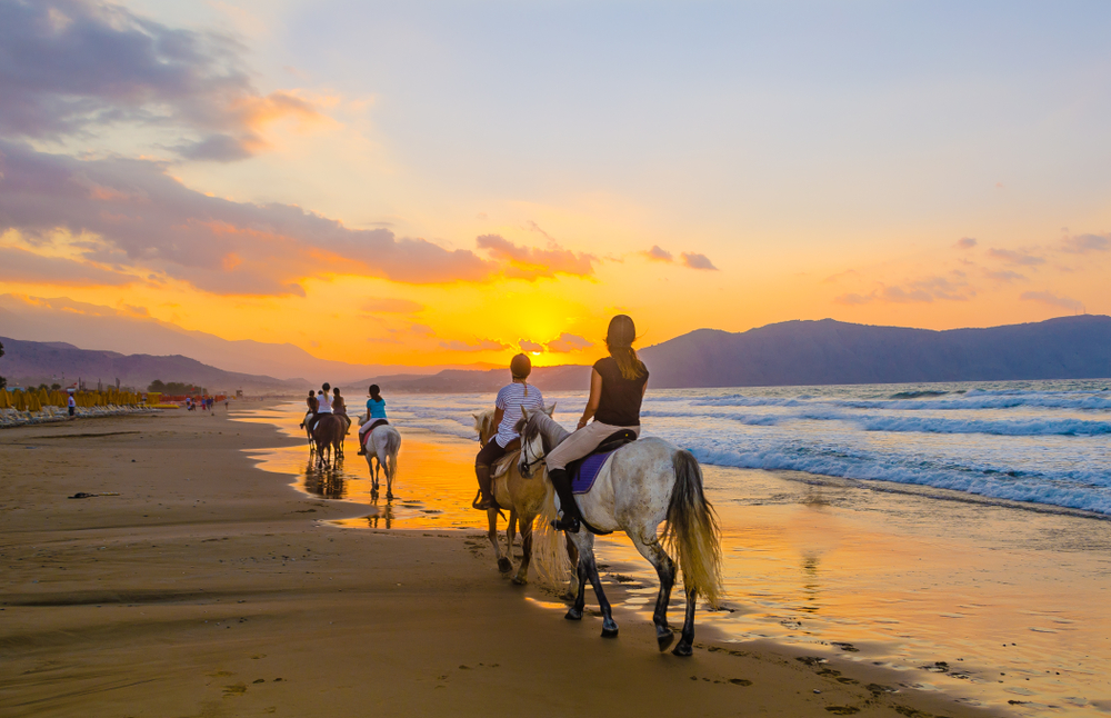 Group Girls On Horseback Riding.