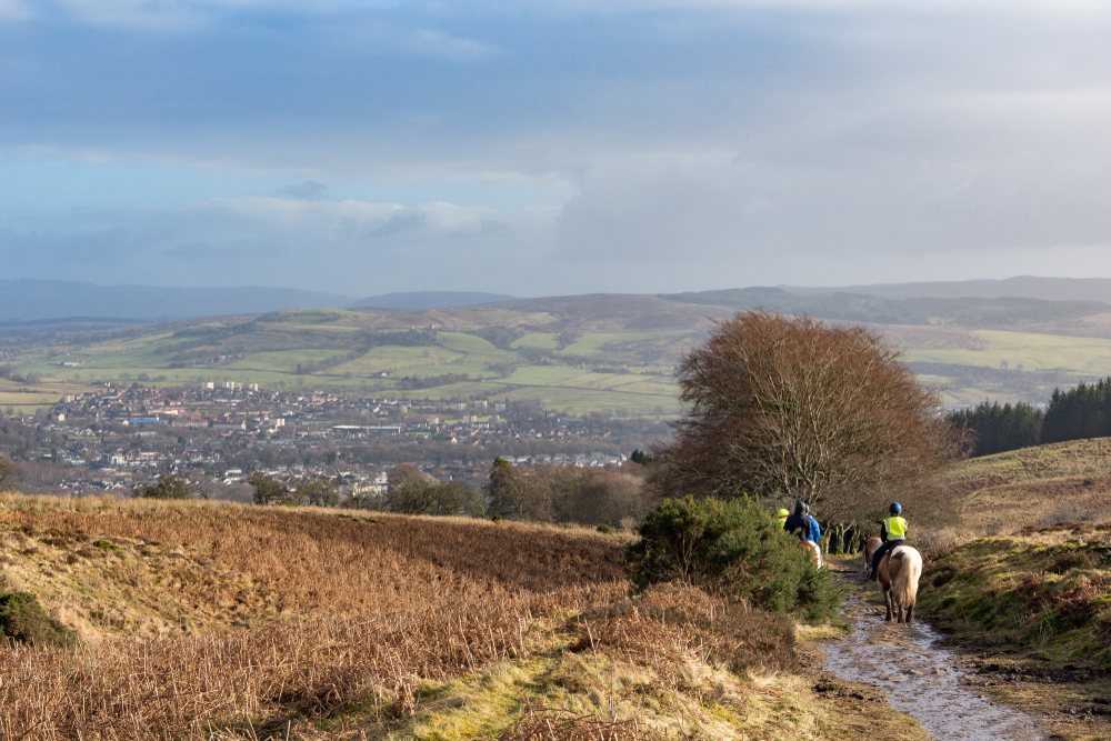 Horses Highland Hills Scotland