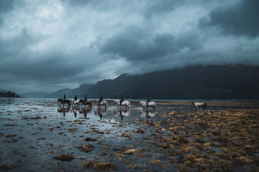 Beautiful horse ride in the UK.
