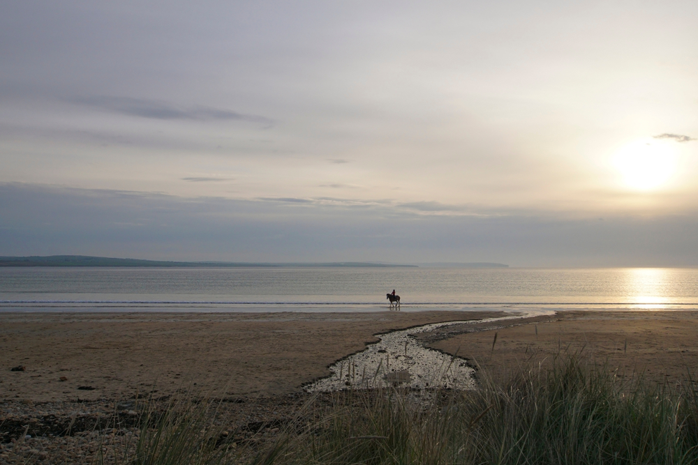 Sunset Horse Dunnet Beach Scottish Highlands.