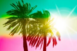 Red Yellow Green Colours Rastafari Reggae